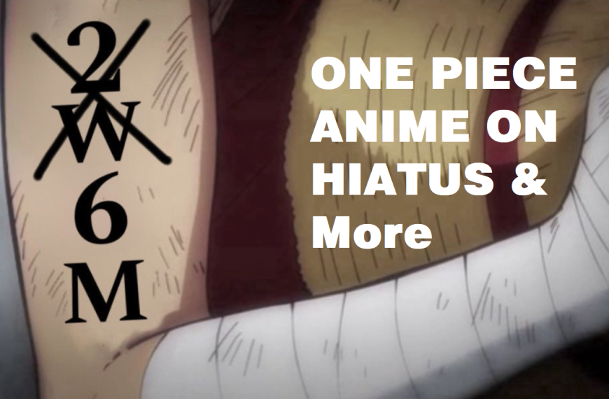 One Piece character Luffy "Coming Soon" code 2W6M - One Piece Anime Hiatus